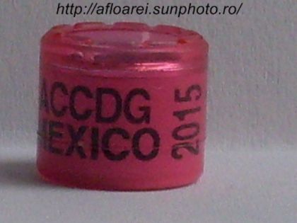 accdg mexico 2015 - MEXIC