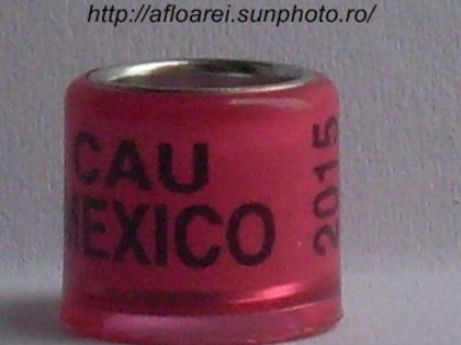 cau mexico 2015 - MEXIC