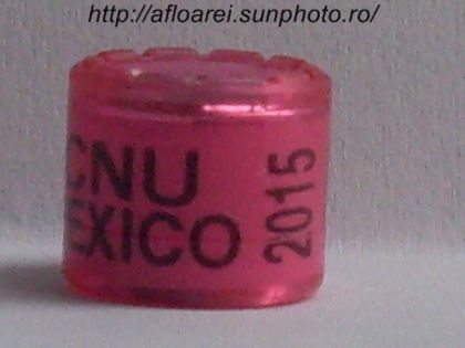 cnu mexico 2015 - MEXIC