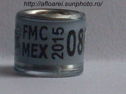 fmc mex 2015 - MEXIC