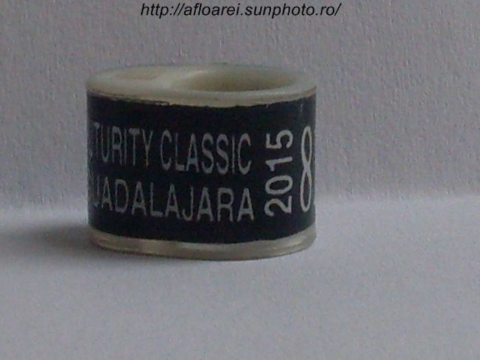 futurity classic guadalajara 2015 negru - MEXIC