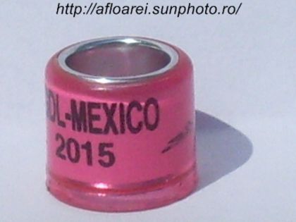 gdl-mexico 2015 - MEXIC