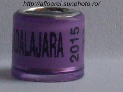 guadalajara fmc 2015 - MEXIC