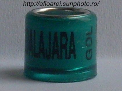 guadalajara gdl 2015 verde - MEXIC