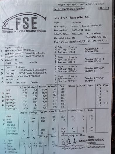 Certificat de origine Ungaria