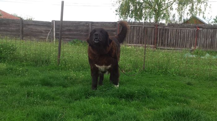 vlcsnap-2015-05-03-21h50m57s37