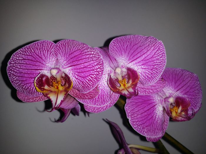 20150506_174256