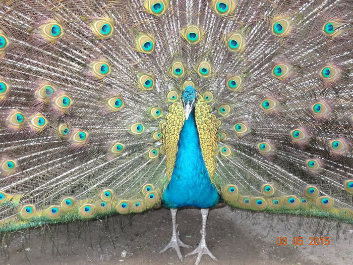 DSC07760