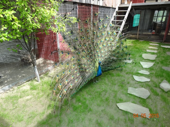 DSC07849