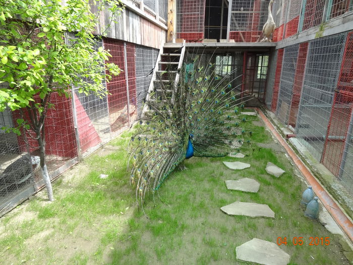 DSC07855