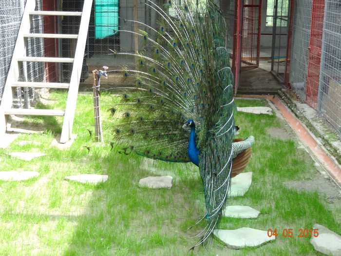 DSC07857