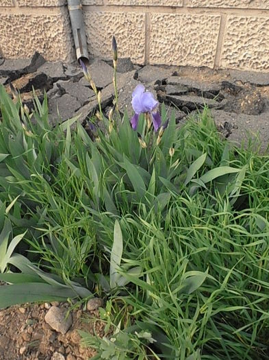P5060540