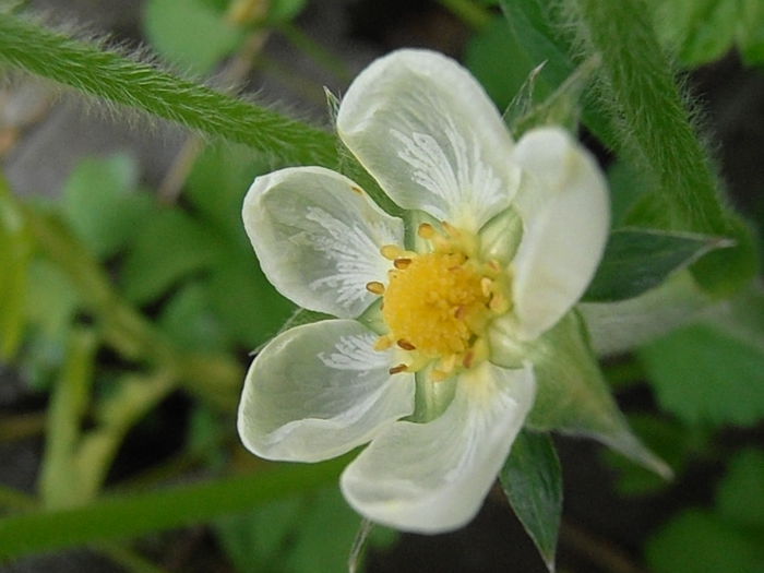 P5060177