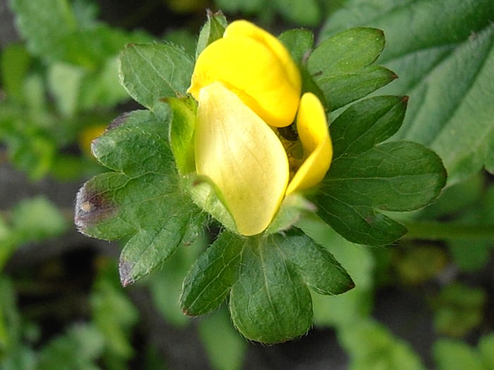 P5060184