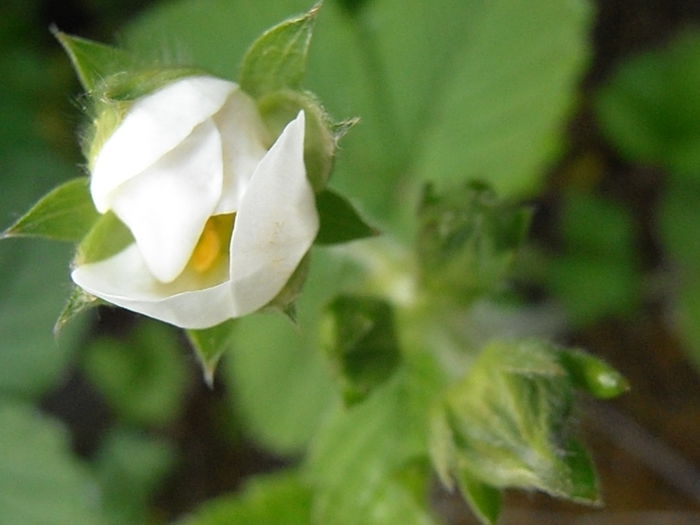 P5060188