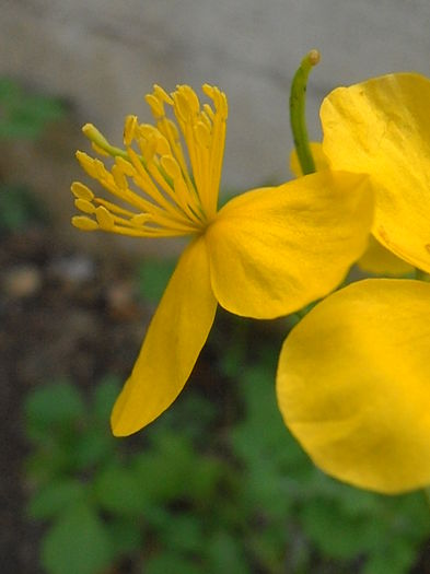 P5060193
