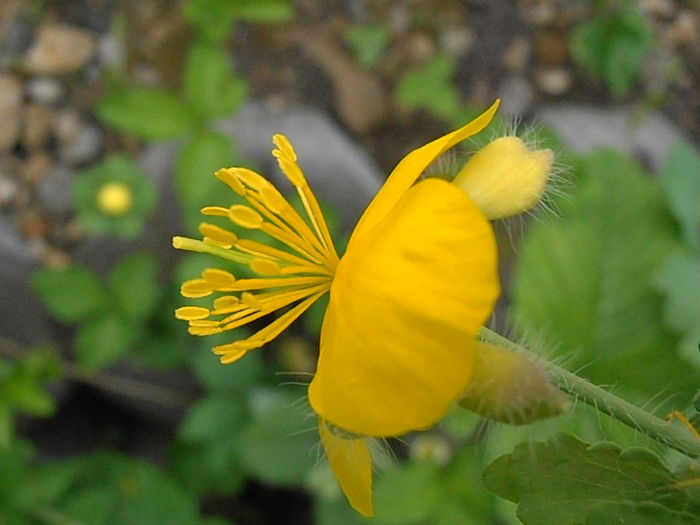 P5060197