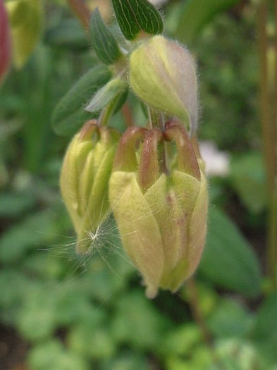 P5060246