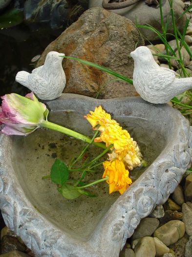 DSC06868 - Gradina 2015