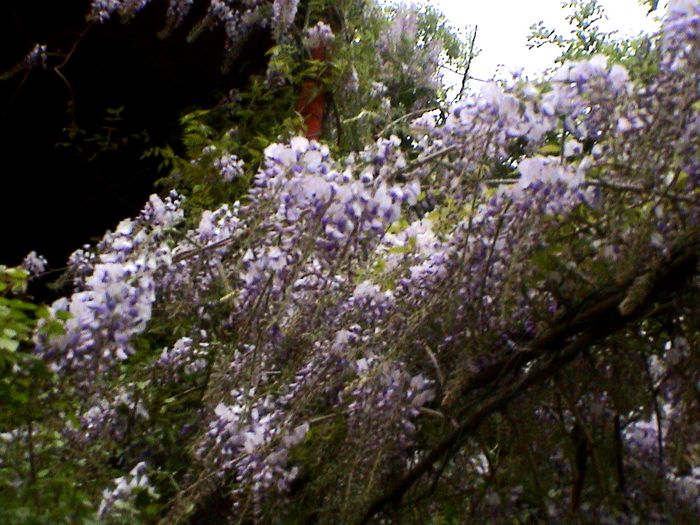 DSC01166