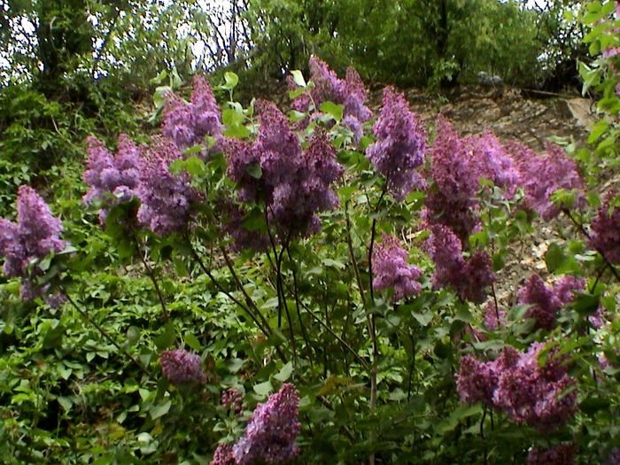 DSC01180