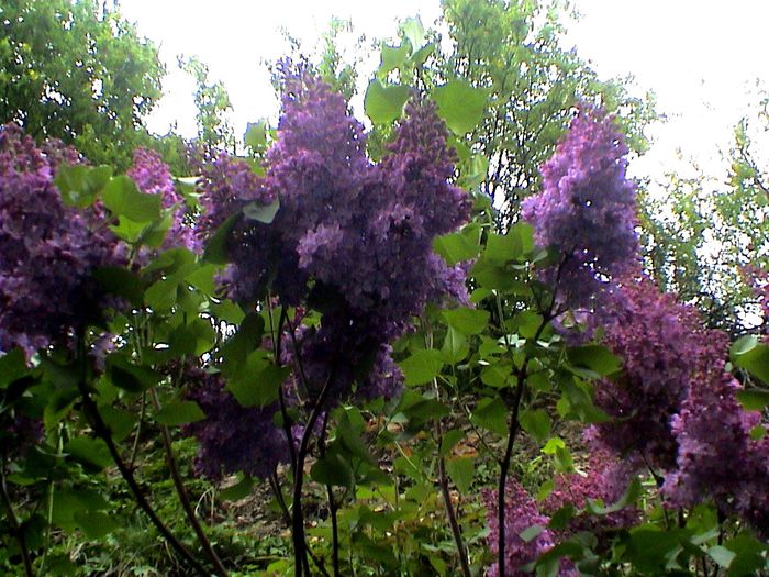 DSC01182
