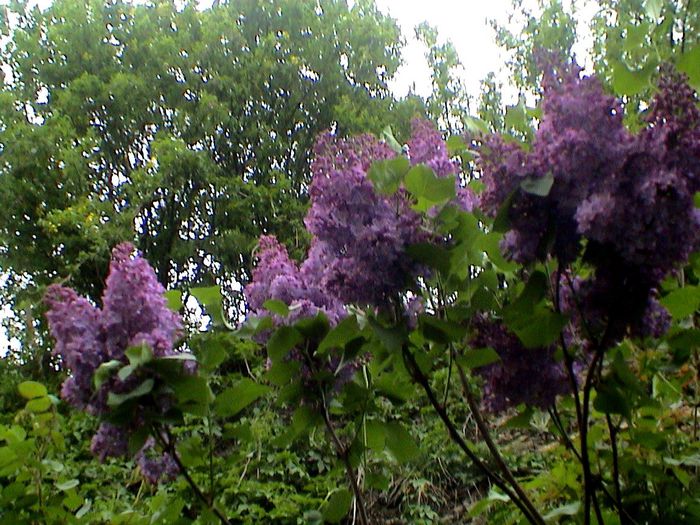 DSC01183