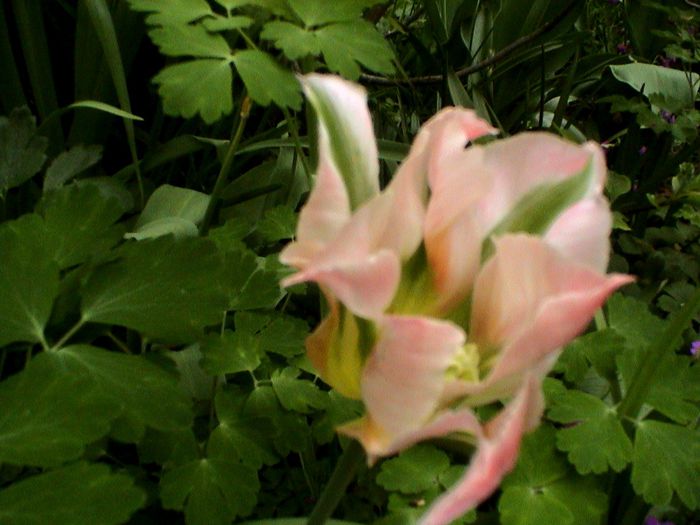 DSC01188