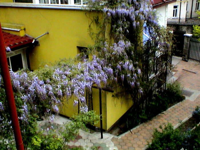 DSC01190