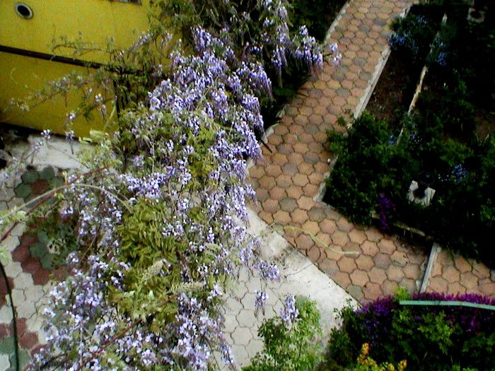 DSC01192