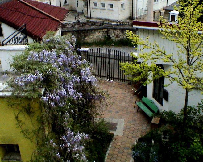 DSC01193
