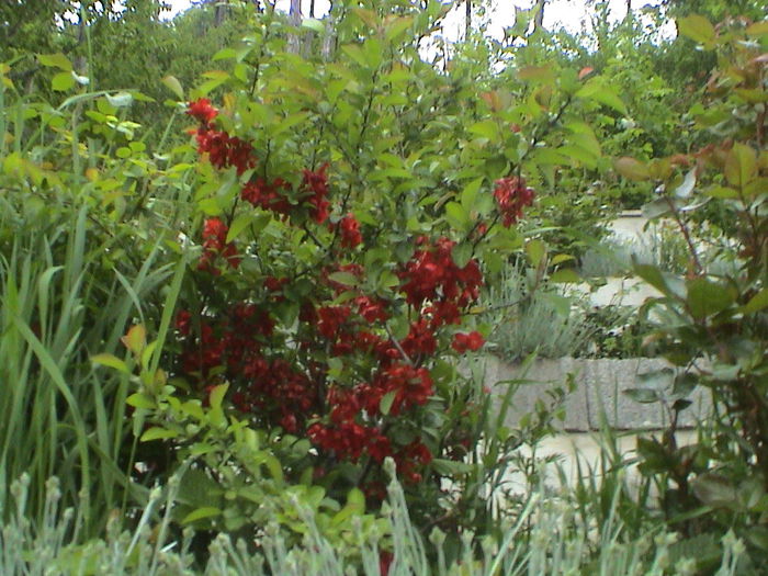 DSC01197