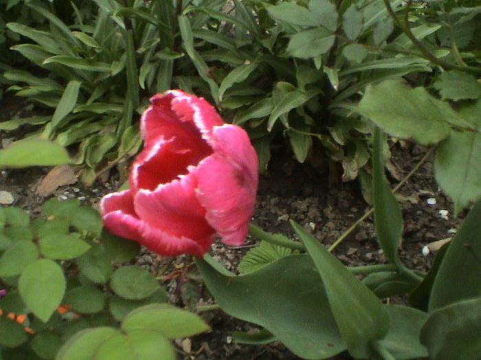DSC01202
