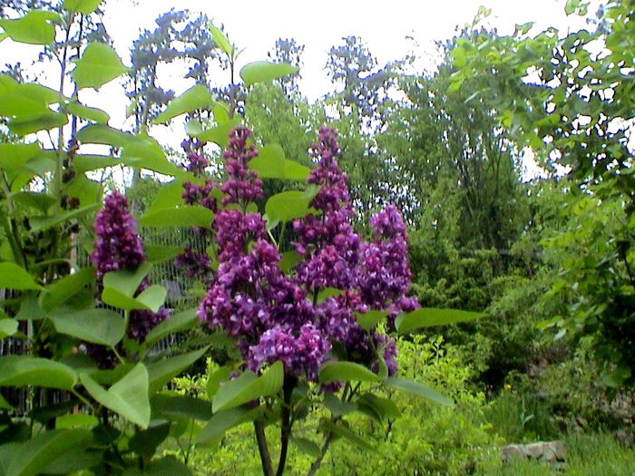 DSC01203