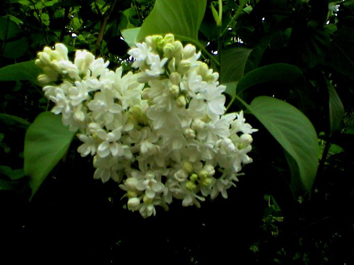 DSC01205