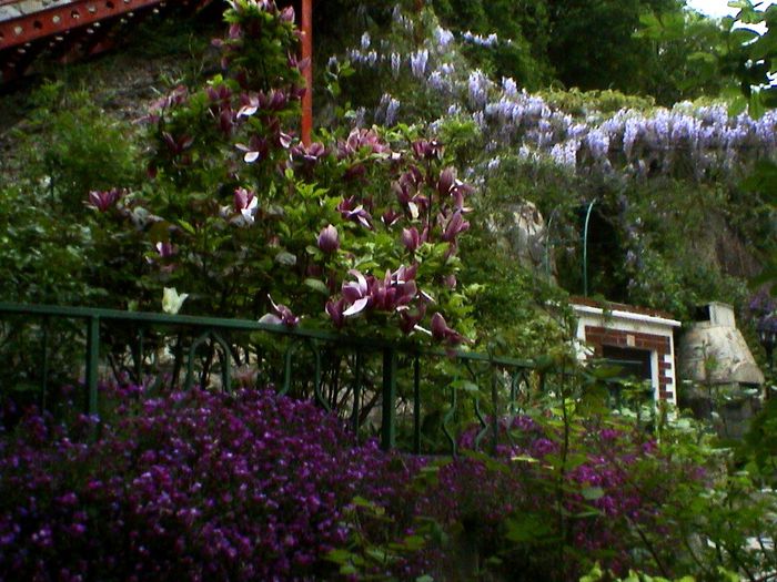 DSC01266 - GRADINA MEA IN 2015