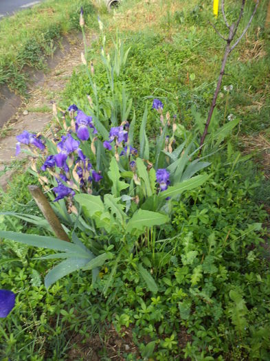 DSC03622 - ANUL 2015