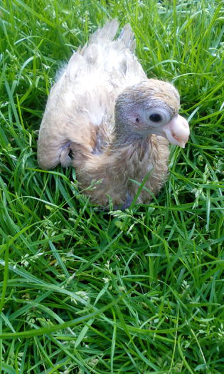 PHOTO_20150507_184052