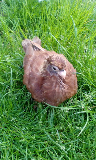 PHOTO_20150507_184336