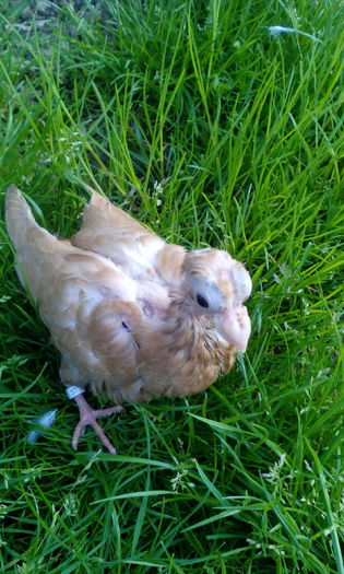 PHOTO_20150507_184438