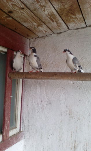 PHOTO_20150507_184557