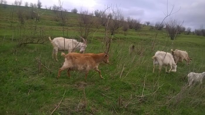 WP_20150507_19_16_26_Pro