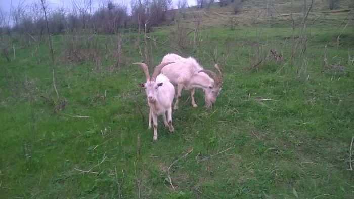 WP_20150507_19_16_59_Pro