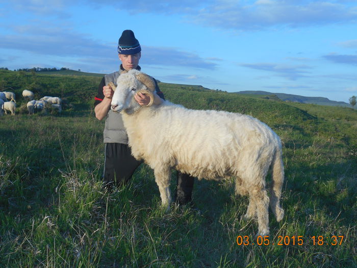 DSCN4059 - Berbeci 2o14-2015