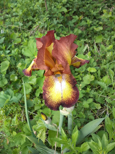 DSC03645 - ANUL 2015