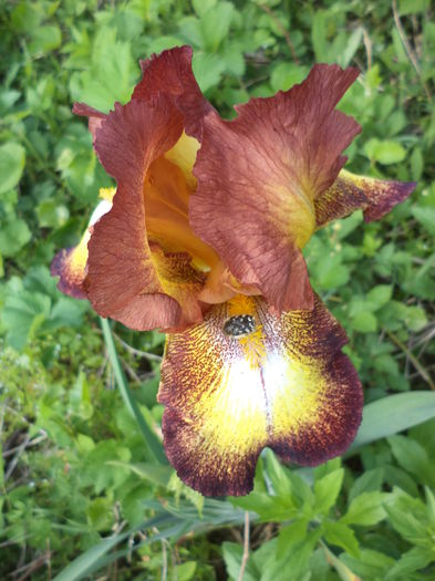 DSC03646 - ANUL 2015