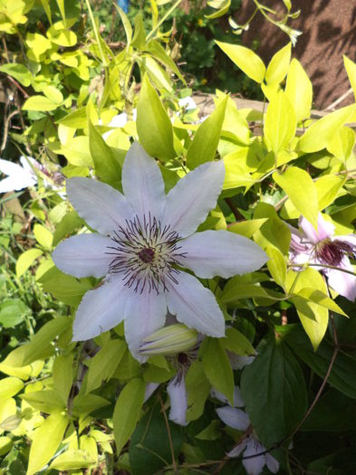 DSC03651 - ANUL 2015