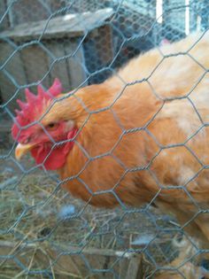 APRILIE - MAI 2015 217