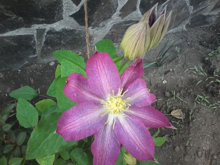 20150508_154036