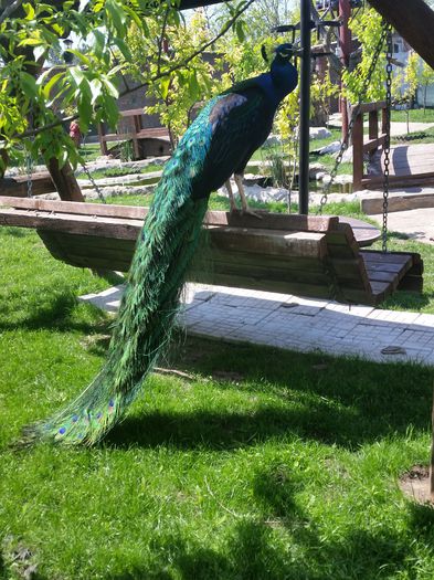 20150508_143225